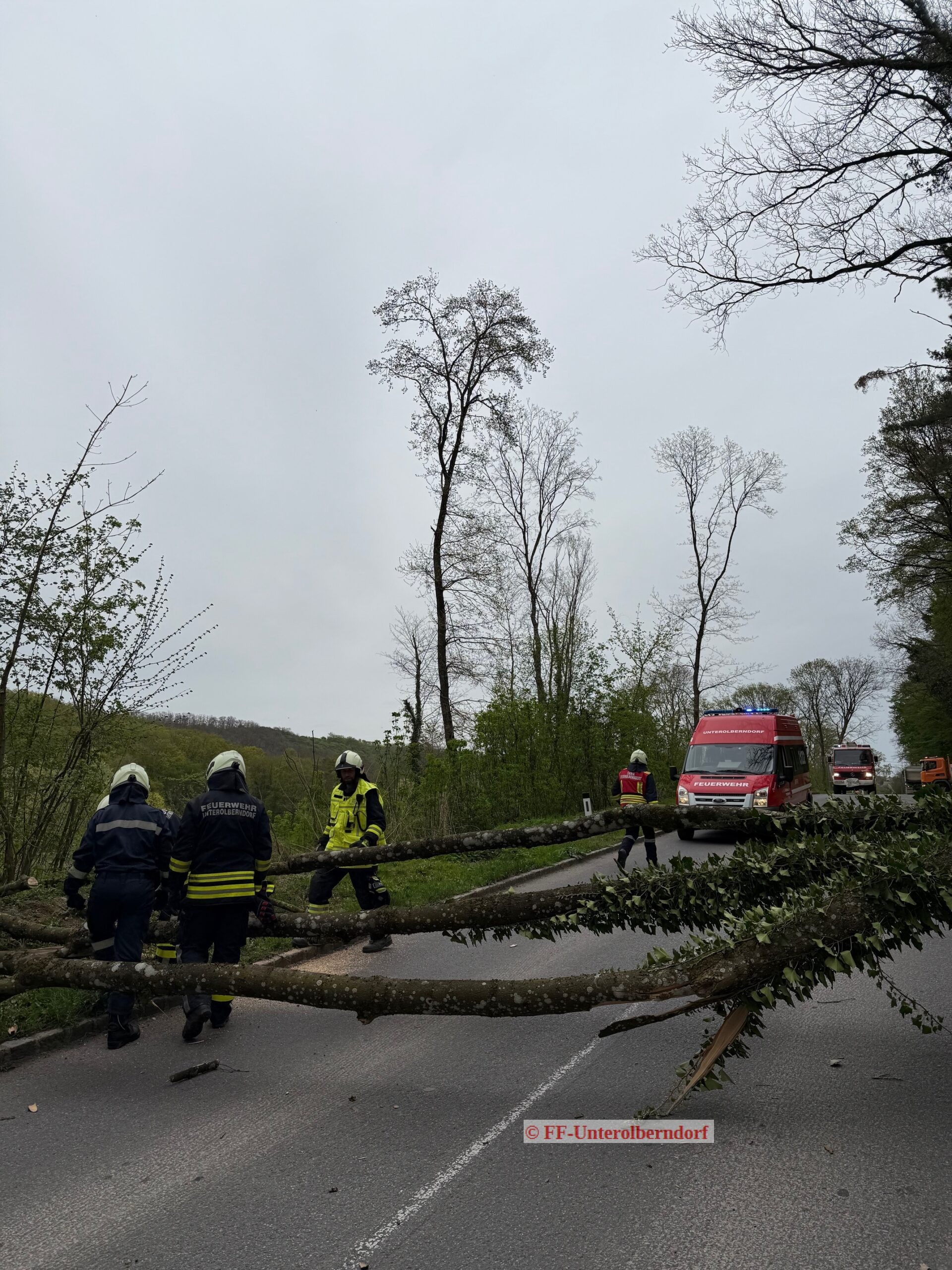 Mehr über den Artikel erfahren T1 Baum über Straße