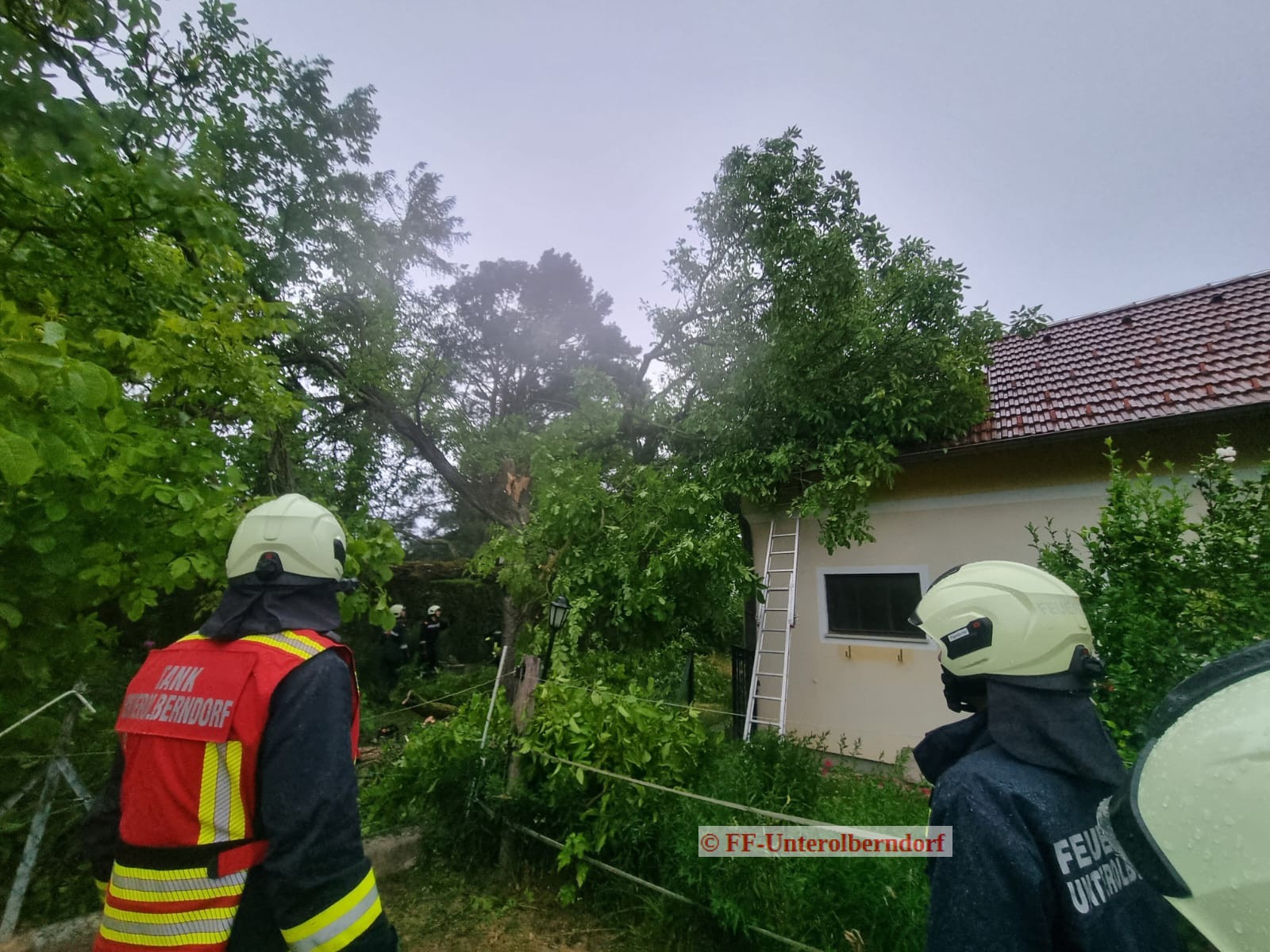 Mehr über den Artikel erfahren T1 – Baum auf Haus